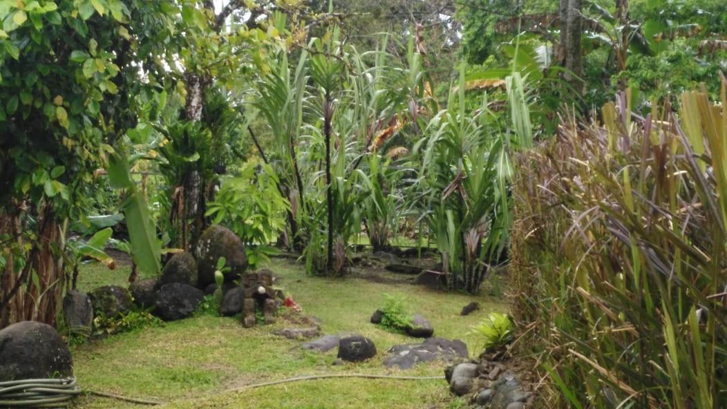 Appartamento Casa Sophia Guápiles Esterno foto