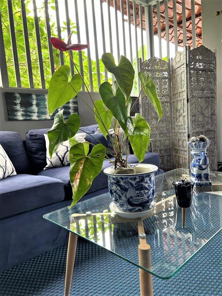 Appartamento Casa Sophia Guápiles Esterno foto