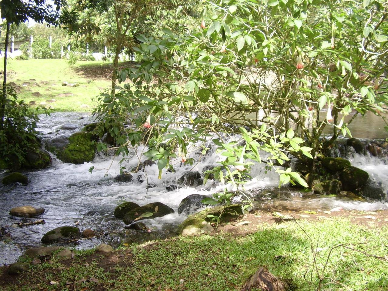 Appartamento Casa Sophia Guápiles Esterno foto